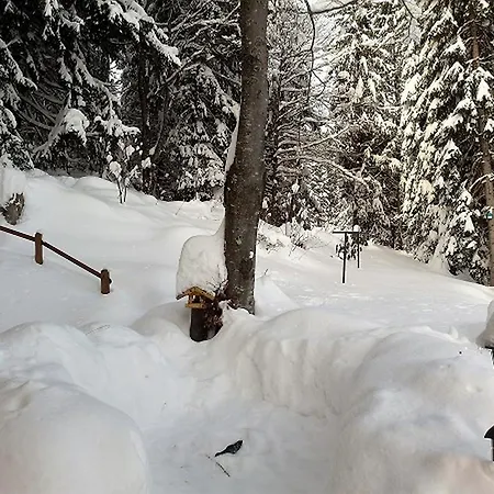 Haus Waldfee Feriehus Schonach im Schwarzwald